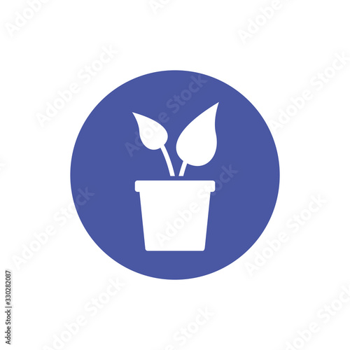 house plant cultivating block style