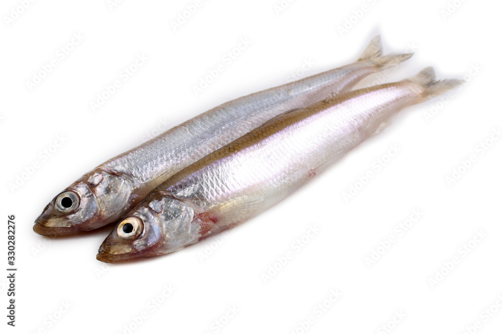 Smelt fish isolated on white. Pacific smelt variety Smelt fish isolated on white. Pacific smelt variety