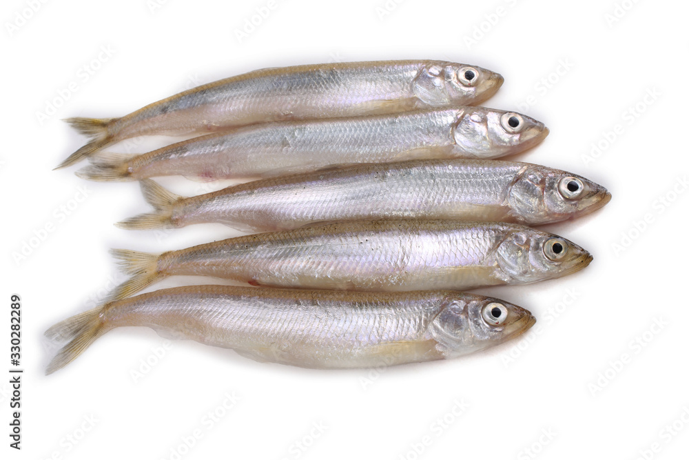 Smelt fish isolated on white. Pacific smelt variety Smelt fish isolated on white. Pacific smelt variety