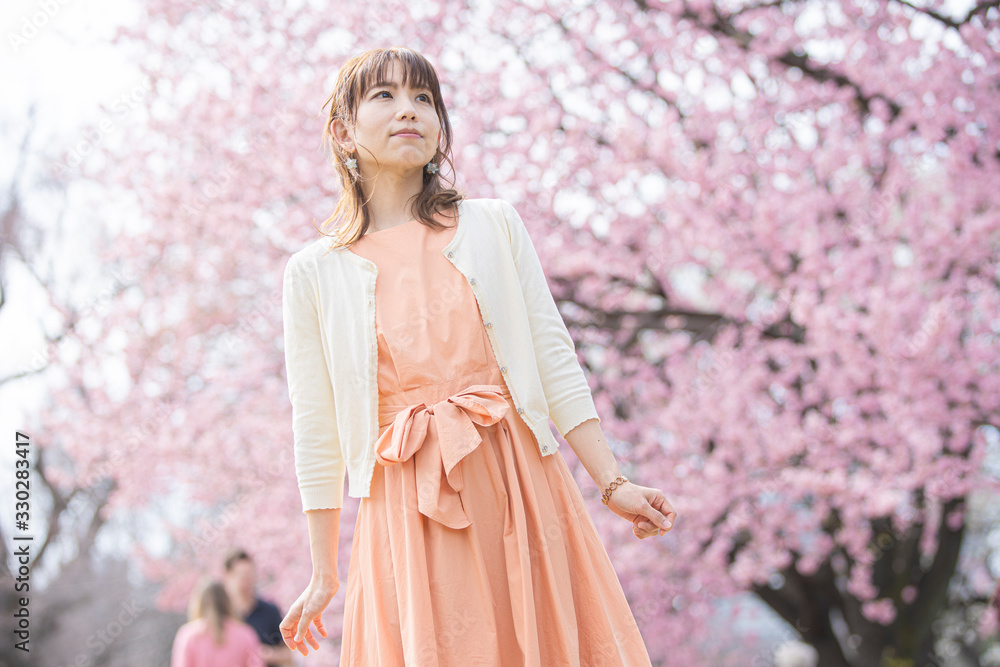 桜の木の下で撮るポートレート 桜の木の下で撮るポートレート