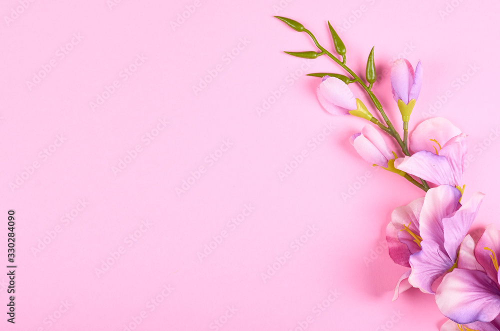 Decorative flowers on pink background composition.