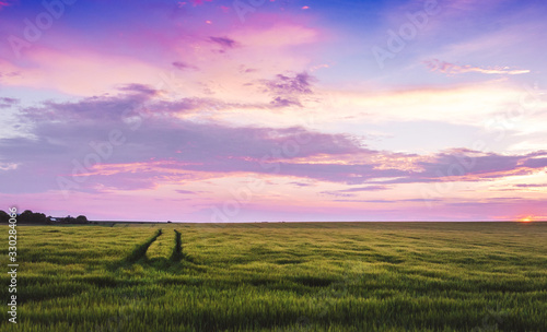 Rural landscape with green grass and picturesque sky during sunset_