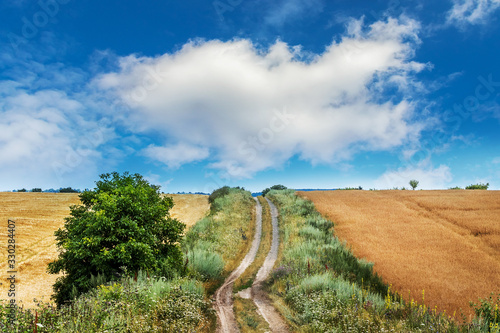 Rural landscape with road in field and picturesque blue sky with white clouds_ © Volodymyr