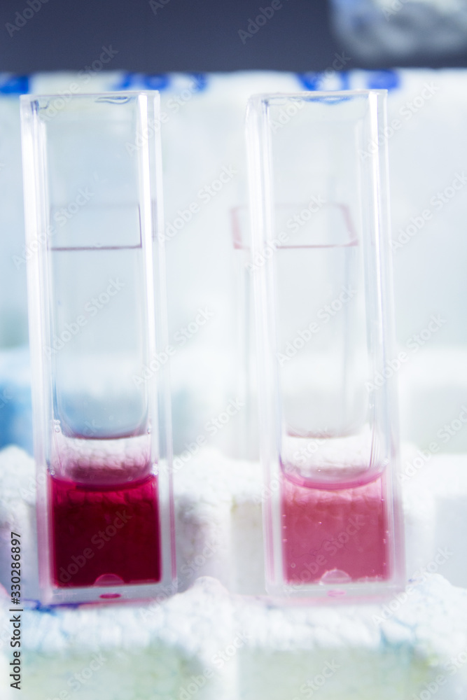 Test tubes in laboratory for covid19 Test tubes in laboratory for covid19