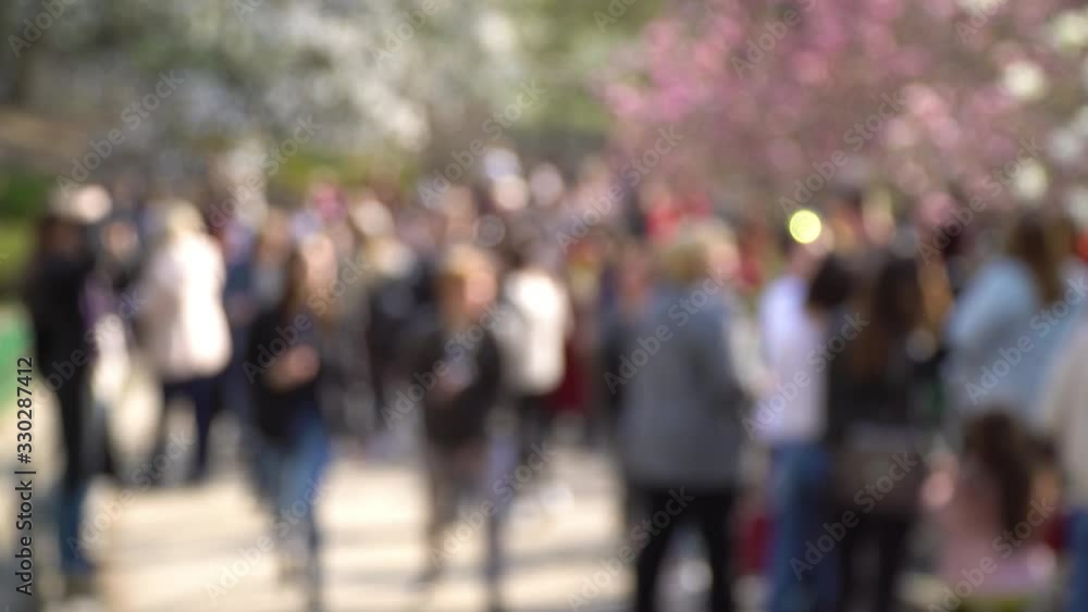 happy people walking in spring park. Group of joyful friends going to have a picnic outdoors. Blur video motion 4k 3840x2160 happy people walking in spring park. Group of joyful friends going to have a picnic outdoors. Blur video motion 4k 3840x2160