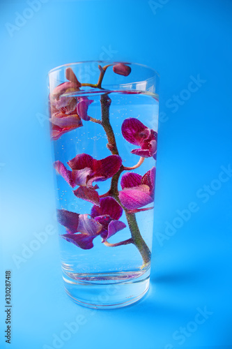 spa Background - Blurred pink orchid in a glass with water. Bubbles on the flowers. Organic cosmetics. Natural water.