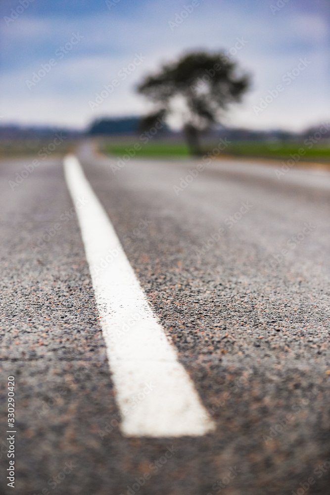 landscape with tree and road landscape with tree and road