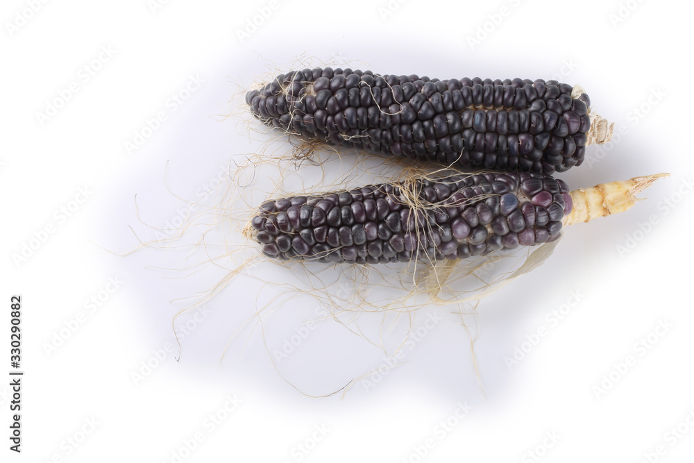 Fototapeta premium Black corn isolated on white