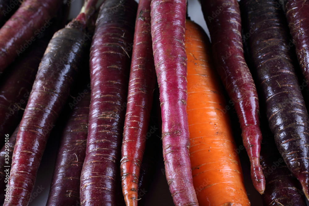 Carrots and unusual violet carrots background Carrots and unusual violet carrots background