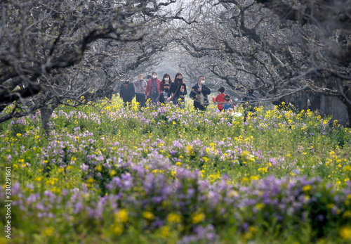 Enjoying flowers in spring in Huai'an, Jiangsu Province, China