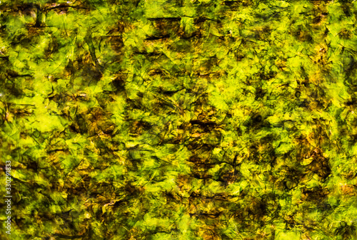 Background from nori listerra close up. Green abstract background with brown accents.