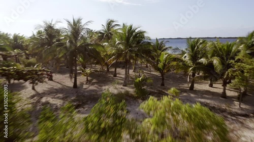 Wallpaper Mural Aerial low pass over Pulau Bedil, a tiny Indonesian beautiful island off the coat of Lombok. Torontodigital.ca