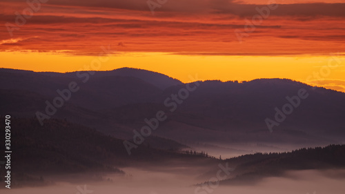 Golden sky and fog in the black forest