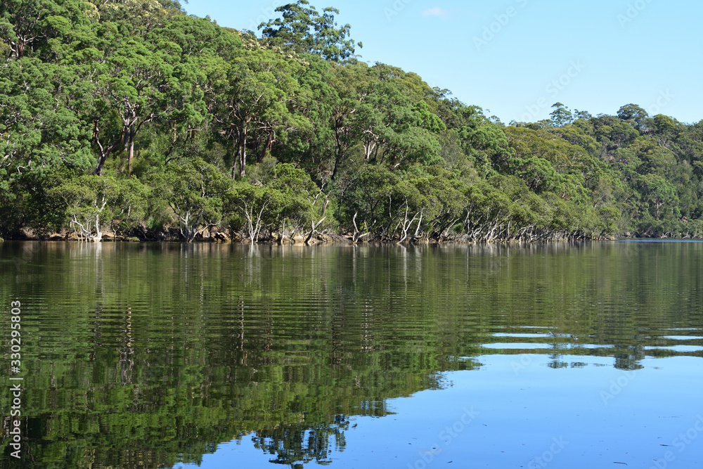 Fototapeta premium tranquil waterside scenery in sunny day