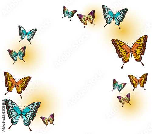 蝶のフレームイラスト