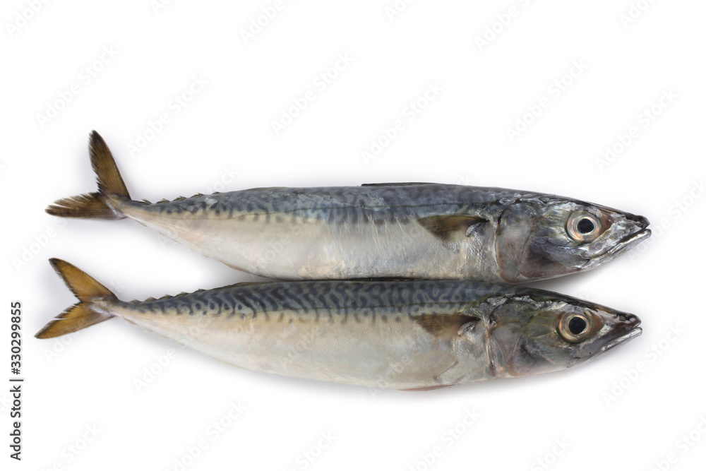 Chub mackerel (Pacific mackerel, saba) Chub mackerel (Pacific mackerel, saba)