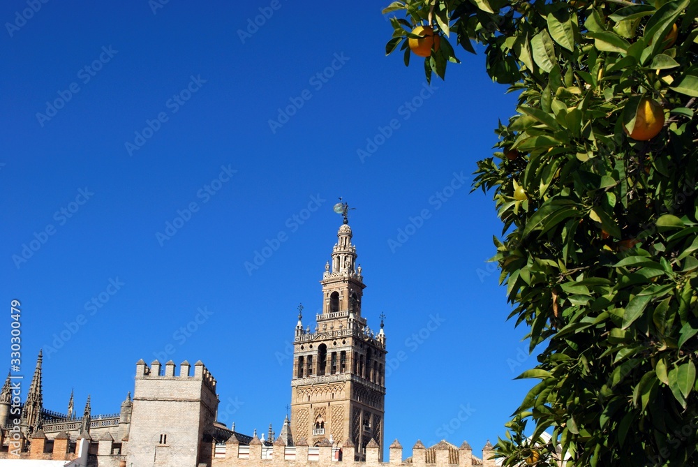 Cathedral of Saint Mary of the See and La Giralda Tower seen from Plaza Patio de Banderas, Seville, Spain.