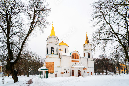 The Savior Transfiguration Cathedral of Chernihiv and Borys and Hlib Cathedral behind the tree branches photo