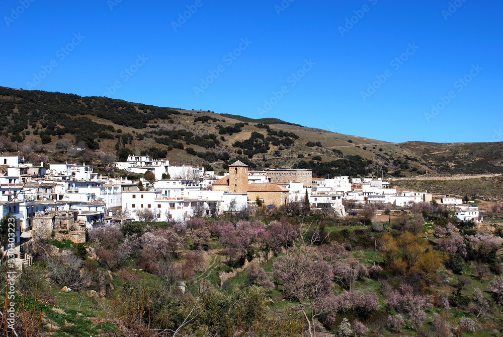 View of town in Springtime with blossom trees in the foreground, Juviles, Spain.