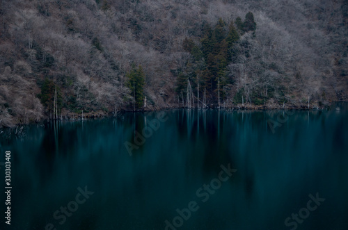 Fototapeta 湖と木