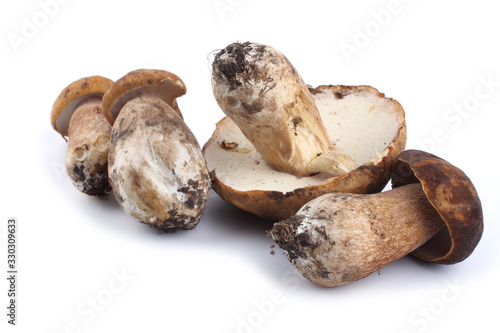 King bolete (cep, porcini, penny bun, Boletus edulis)