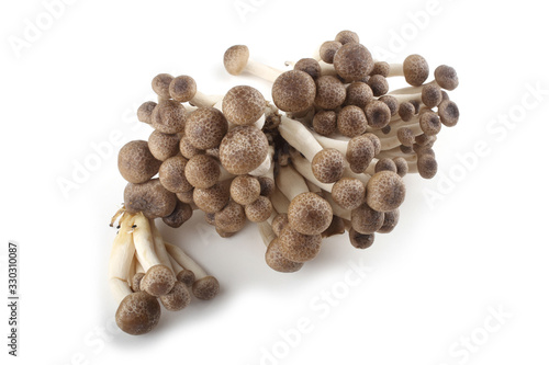 Buna shimeji mushroom (Brown Beech Mushroom)