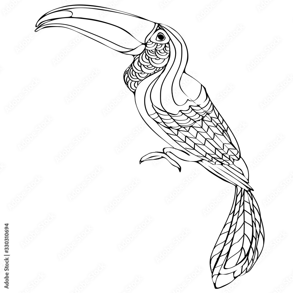 Fototapeta premium Vector hand drawn toucan. Hand drawing coloring book for children and adults.