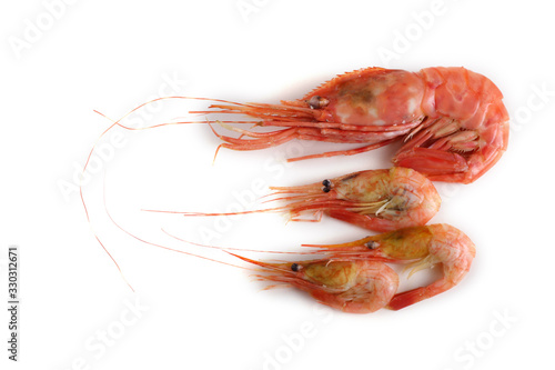 Big and little shrimps