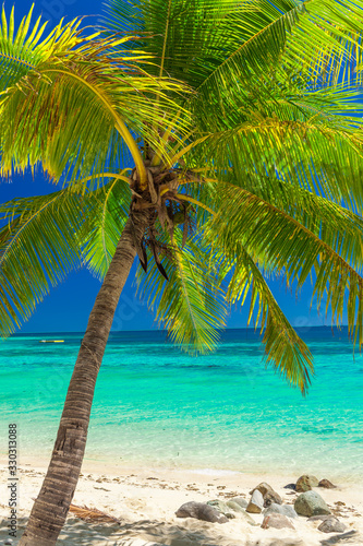 Palm trees on a white sandy beach at Plantation Island, Fiji, South Pacific © Martin Valigursky
