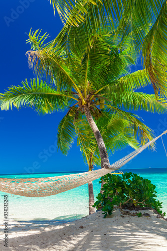 Fototapeta Naklejka Na Ścianę i Meble -  Palm trees on a white sandy beach at Plantation Island, Fiji, South Pacific