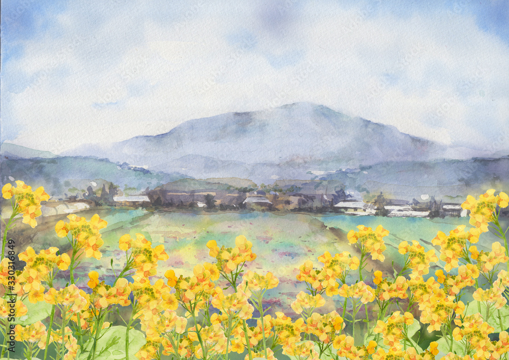Naklejka premium 菜の花風景画