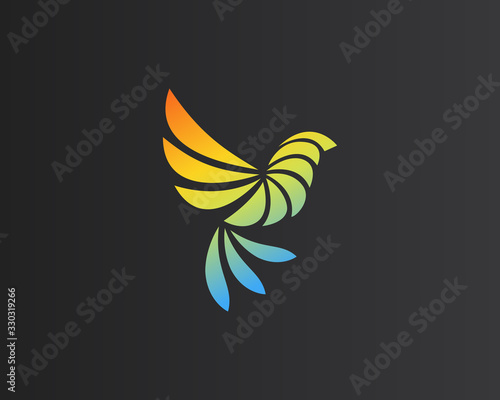 Abstract bird parrot logo design. Creative color eagle symbol. Luxury falcon hawk logotype.