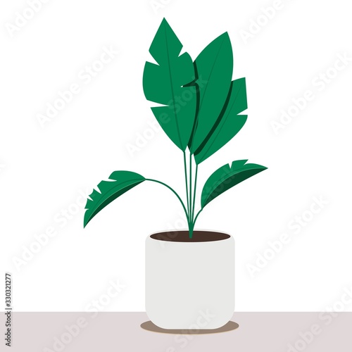 Trendy card with scandinavian style home flowers. Home decor plant. Window design. Living room interior. Simple flat color graphic design. Interior element of a cozy house, hugge and lagom style