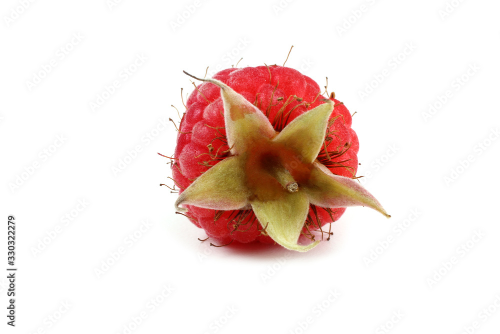 Raspberry isolated on white Raspberry isolated on white