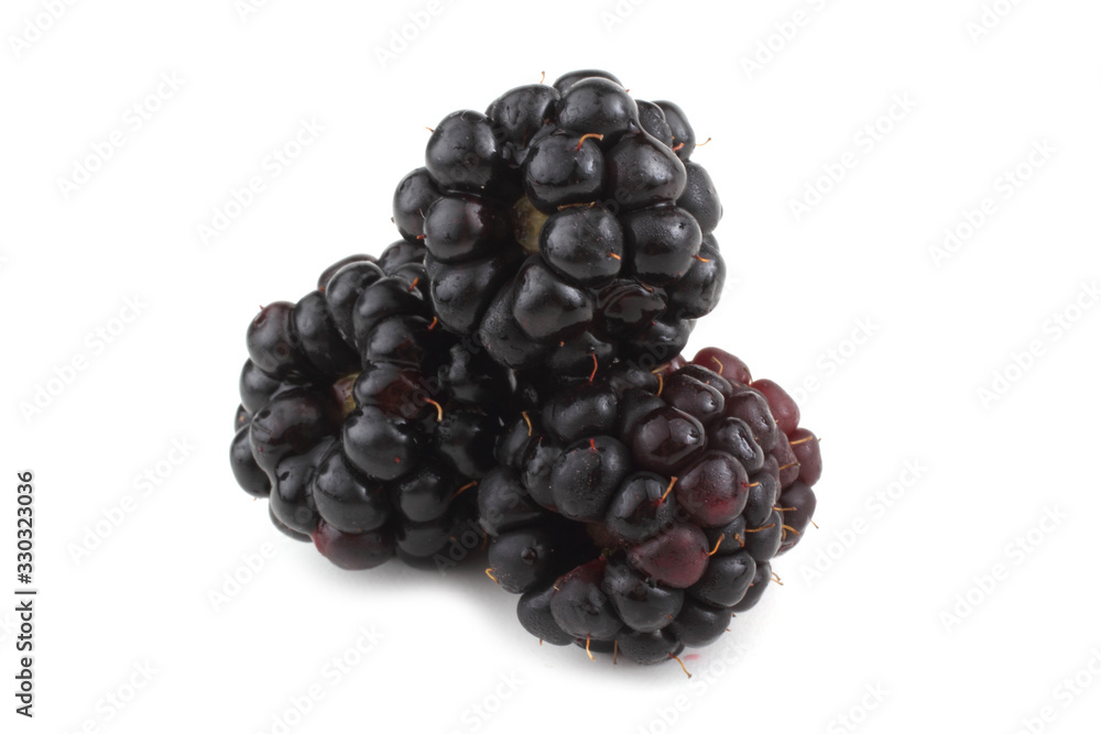 Blackberries isolated on white Blackberries isolated on white
