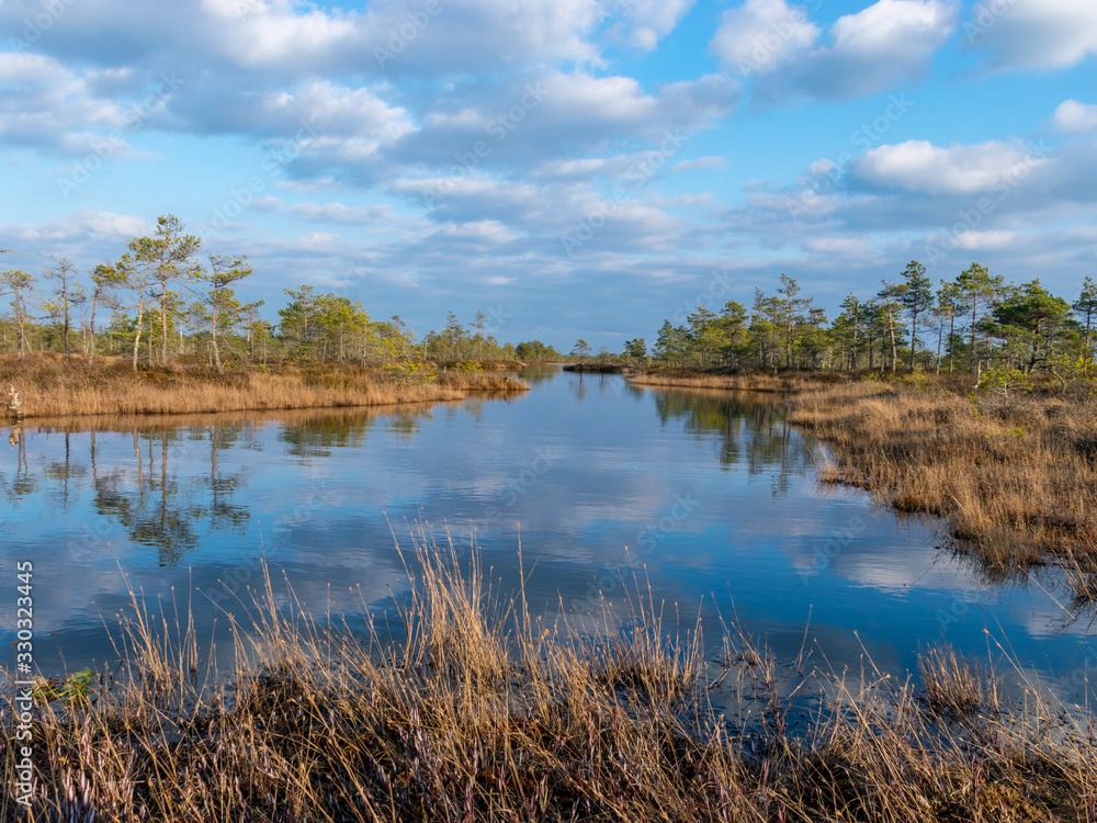 Still water with trees in the swamp land of Kemeri National Park in Latvia Still water with trees in the swamp land of Kemeri National Park in Latvia