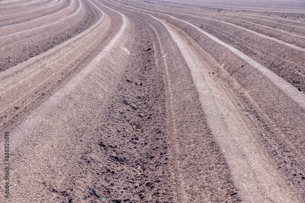 Naklejka premium Plowed field furrows for potato cultivation