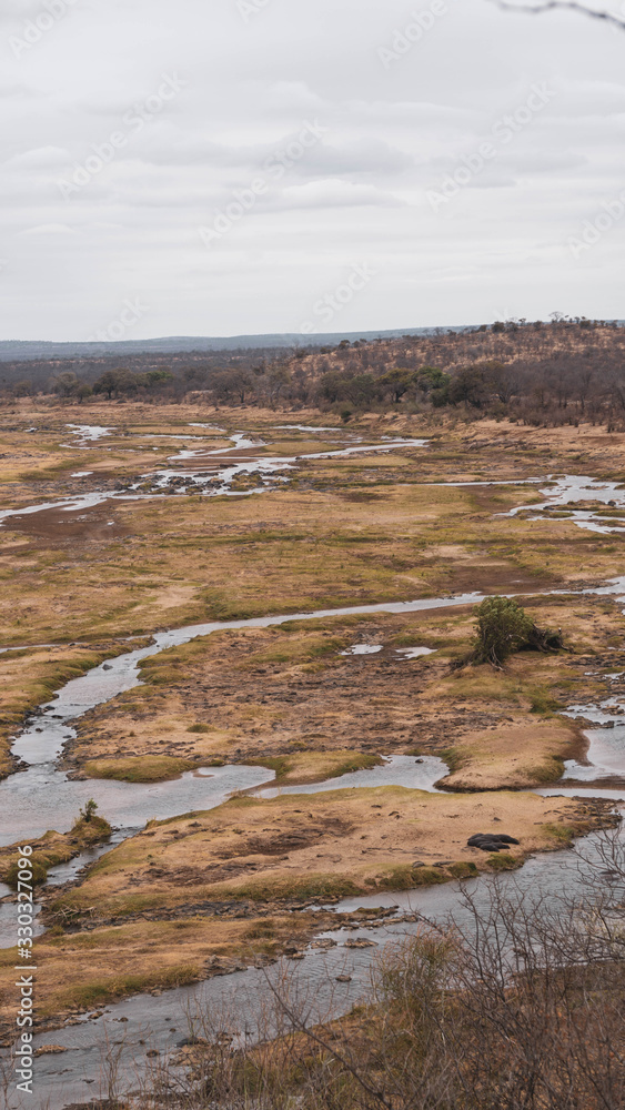 landscape with river and animals in south africa landscape with river and animals in south africa