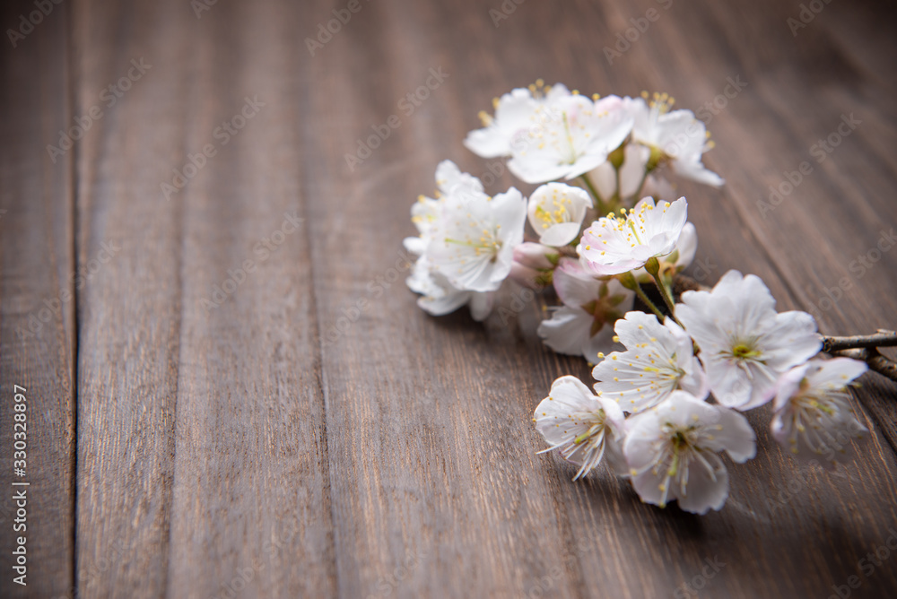 桜の花 桜の花