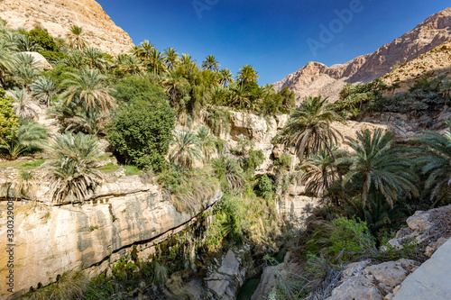 Wadi Tiwi real water spring and waterfall, Oman - Water spring, waterfall and eroded canyon surrounded by palm trees oasis in Oman. © Giacomo