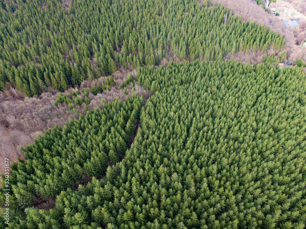 Aerial view of forest in Romania Aerial view of forest in Romania