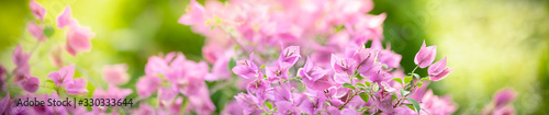 Nature of flower in garden using as cover page background natural flora wallpaper or template brochure landing page design