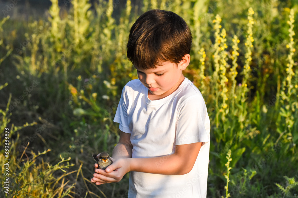Excited boy holding a little bird in hand. Little child saved little