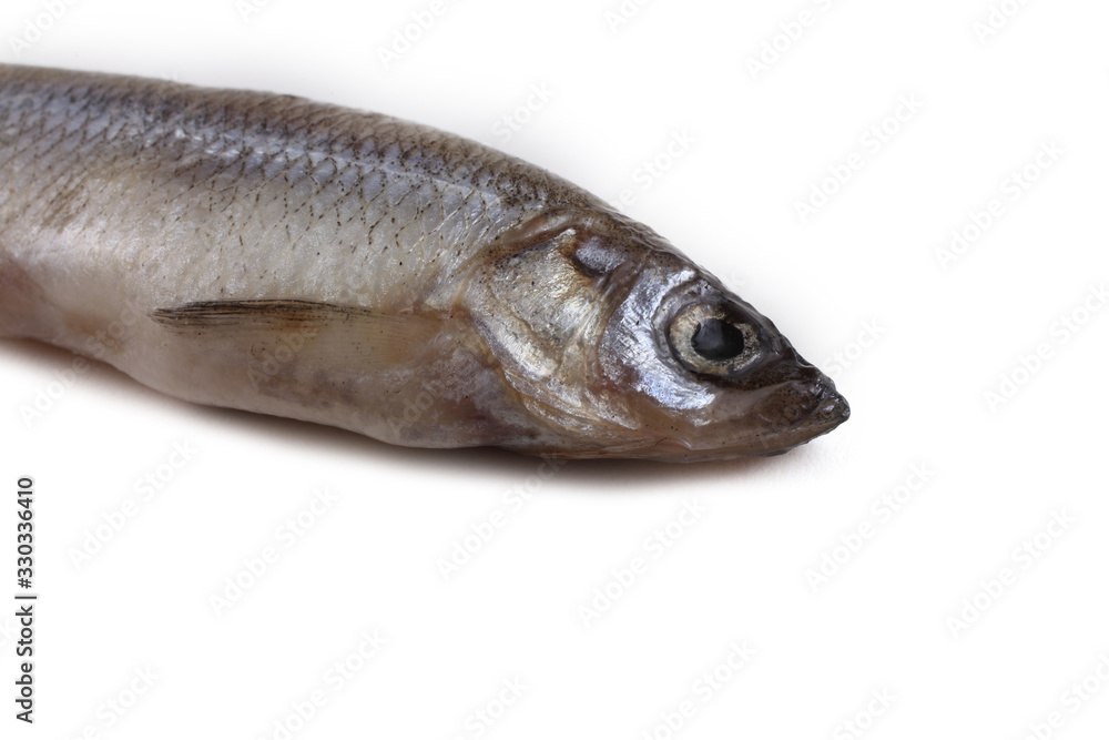 Smelt fish isolated on white. Pacific smelt variety Smelt fish isolated on white. Pacific smelt variety