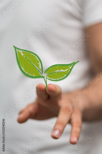green plant growing up digital