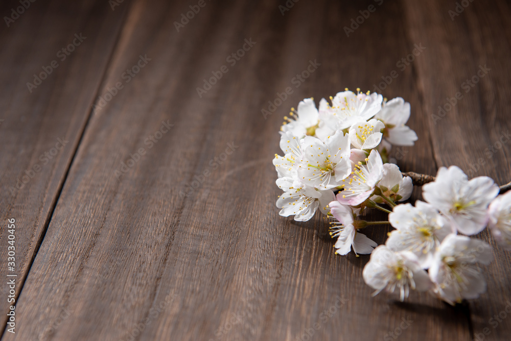 桜の花 桜の花