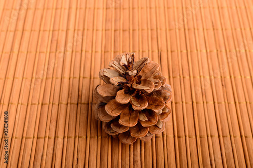 One brown pine cone on dark grey textile material background, with space for text on the right side, brown monochrome indoor background photographed with selective focus