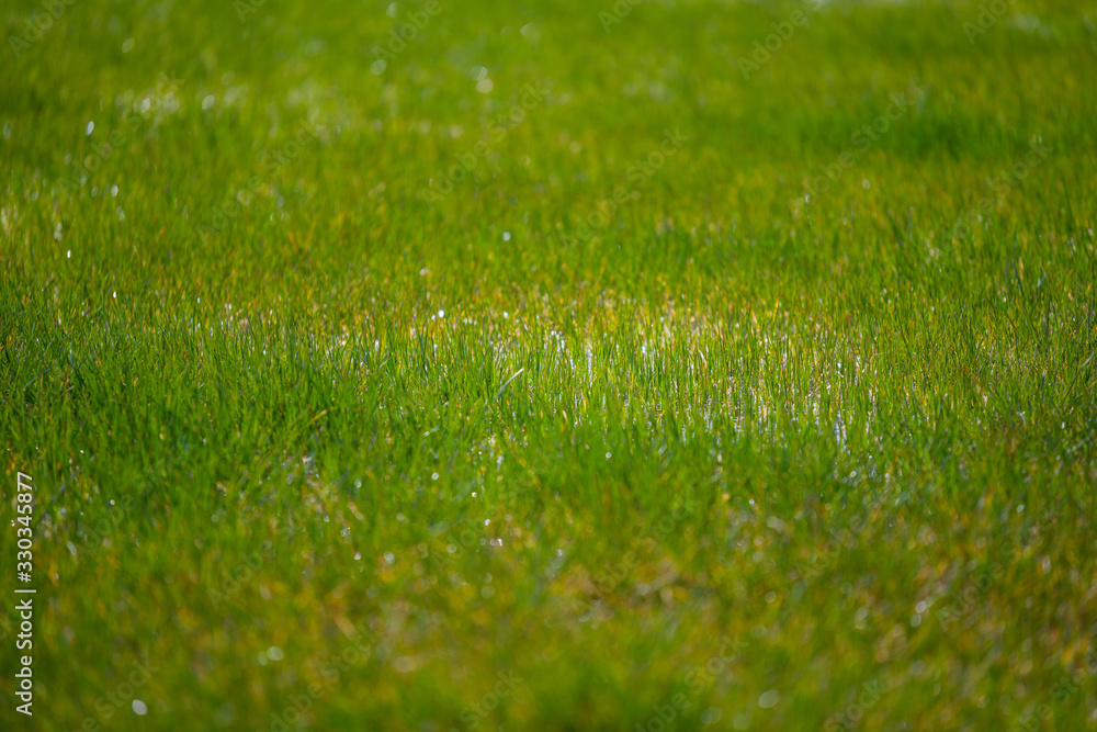 Water puddles stand on  a field with grass