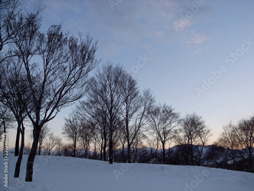 夕暮れの雪山の木立 © Sei