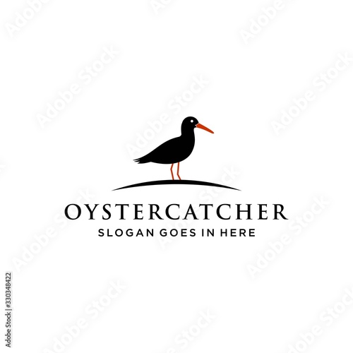 oyster catcher bird logo design vector image illustration